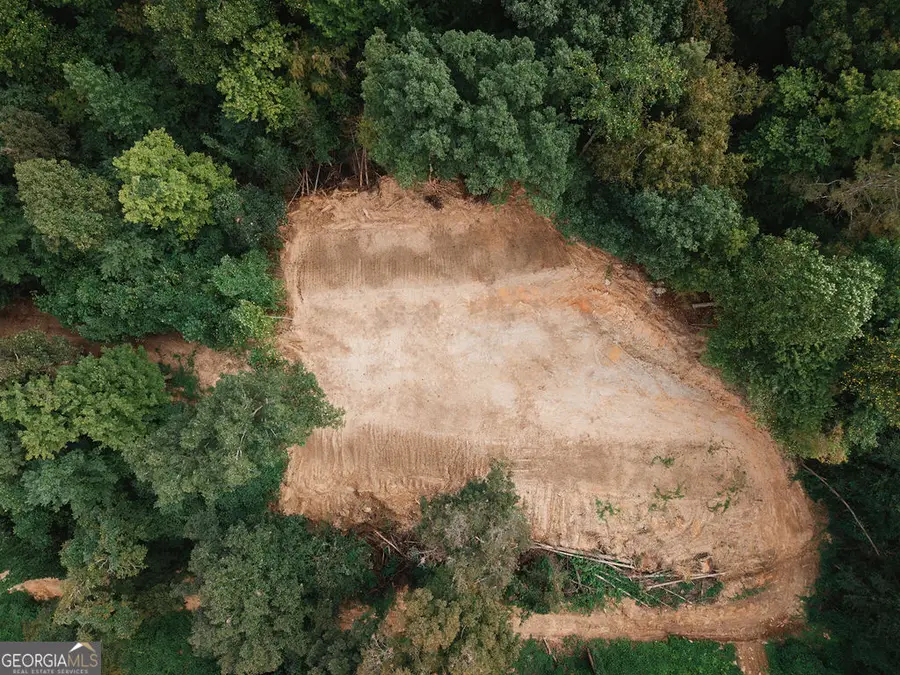 3280 Old Burnt Mountain Road #TRACT 3, Jasper, GA 30143 - #2