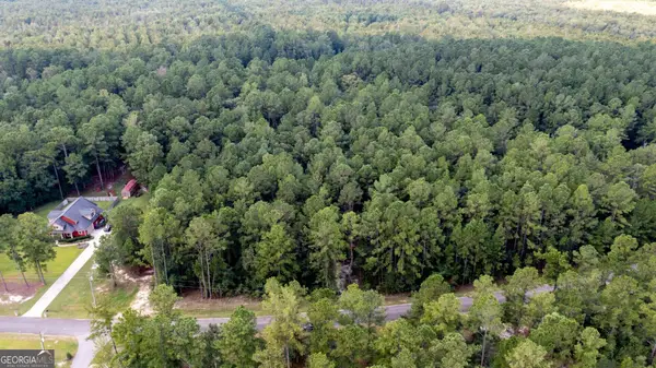V/L 16 Forest Trace, Waverly, GA 31565
