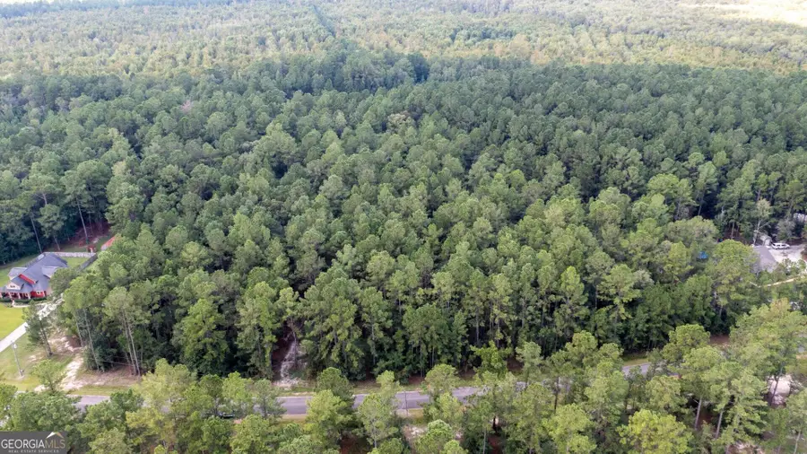 V/L 16 Forest Trace, Waverly, GA 31565 - #2