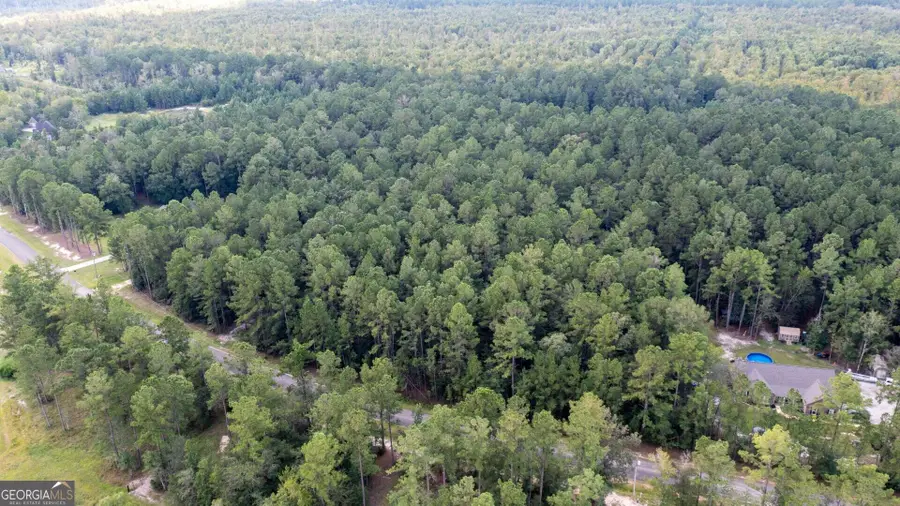 V/L 16 Forest Trace, Waverly, GA 31565 - #3