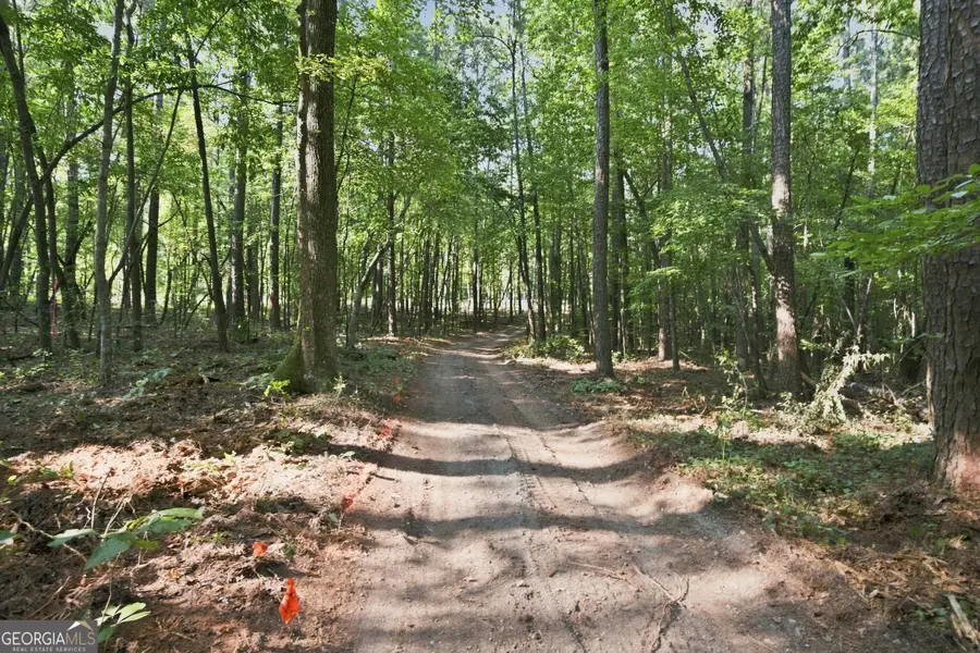 0 Happy Valley Circle, Newnan, GA 30263 - #3