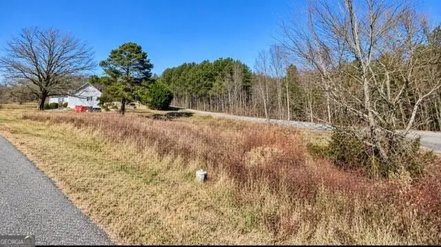 LOT 20 Gumlog Road, Blairsville, GA 30512 - #3
