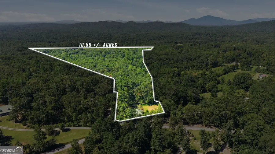 106 Goss Road, Clarkesville, GA 30523 - #3