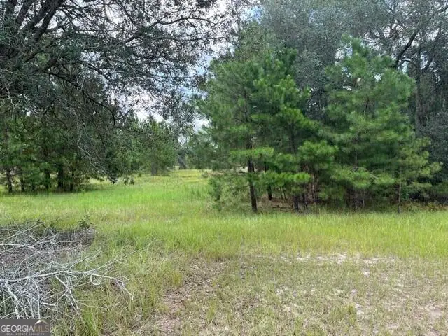 10532 Stillmore Highway, Metter, GA 30439 - #3