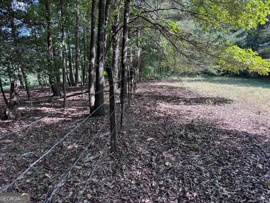 8126 Skitts Mountain Road, Lula, GA 30554 - #3