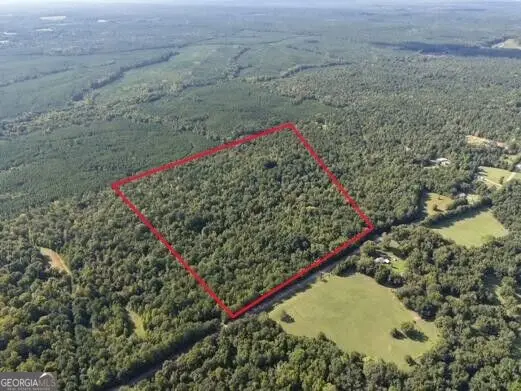 2 Cunningham Road, Greensboro, GA 30642 - #2