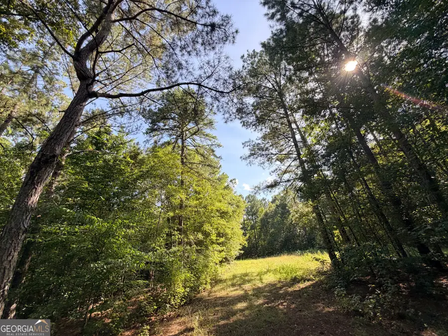 2 Cunningham Road, Greensboro, GA 30642 - #3
