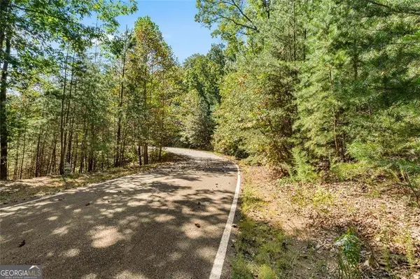288 Blazingstar Trail, Big Canoe, GA 30143