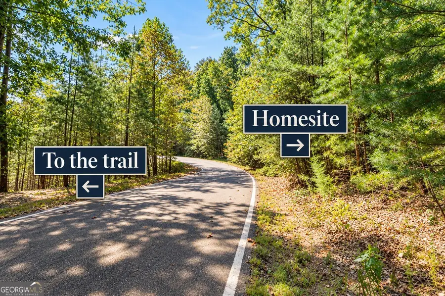 288 Blazingstar Trail, Big Canoe, GA 30143 - #2