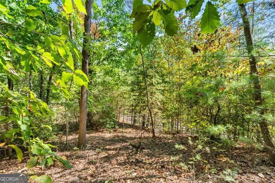 288 Blazingstar Trail, Big Canoe, GA 30143 - #3