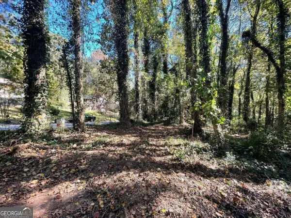 1060 De Leon Drive, Clarkston, GA 30021