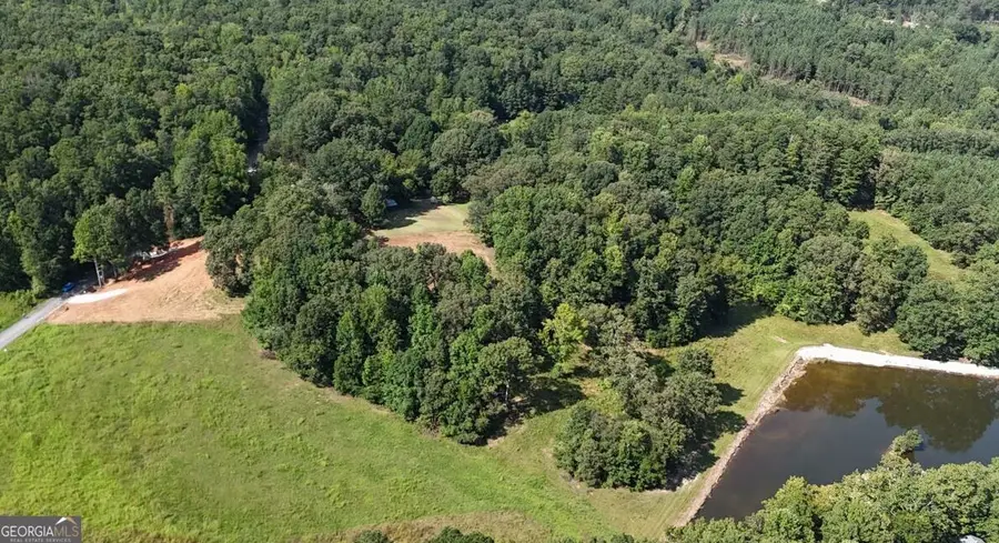 LOT 2 Snote Jones Road, Dallas, GA 30132 - #3