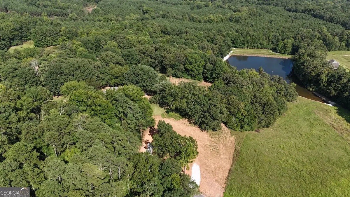 LOT 1 Snote Jones Road, Dallas, GA 30132 - #1