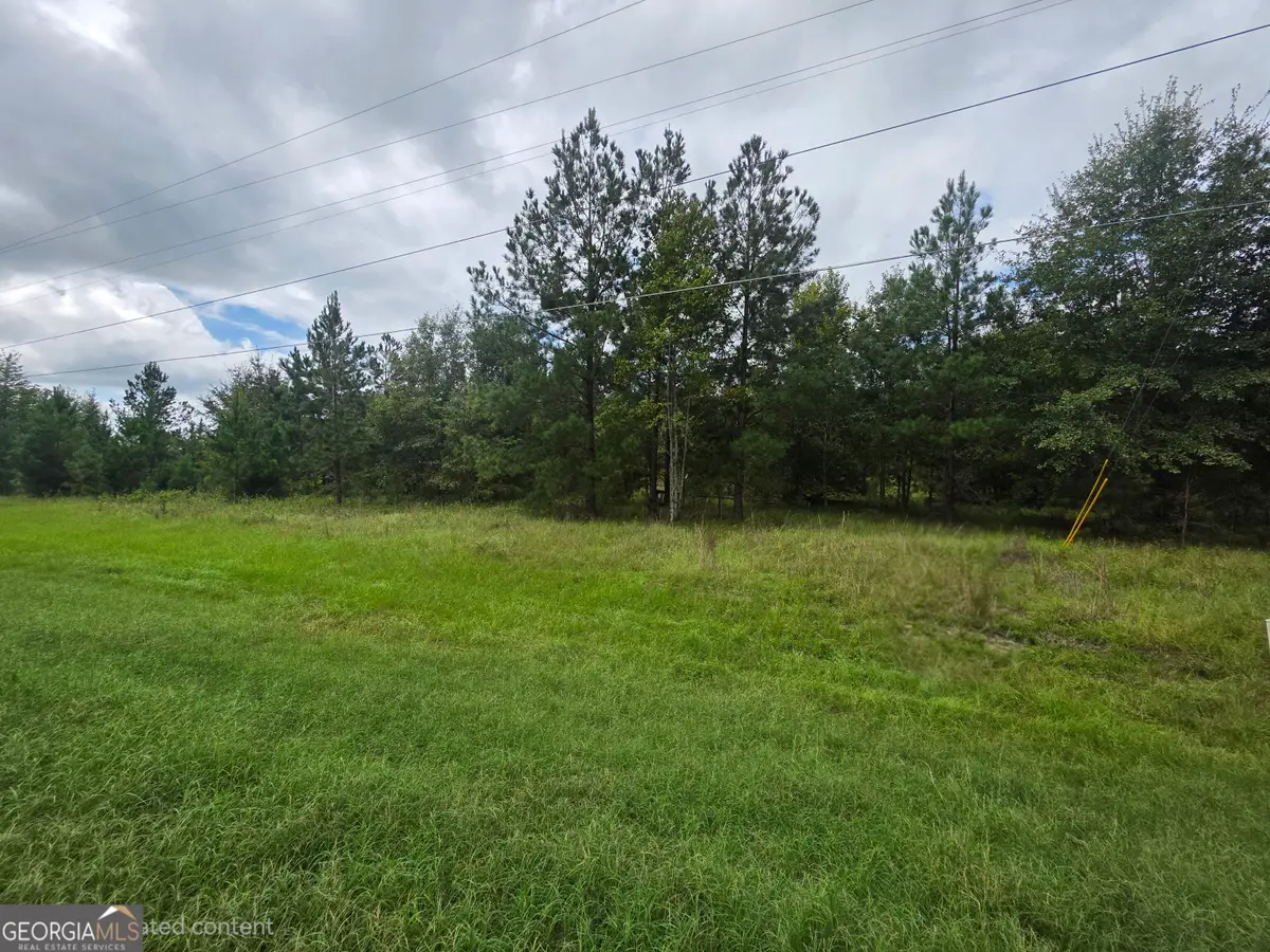 3102 Blackshear Highway, Baxley, GA 31513 - #1