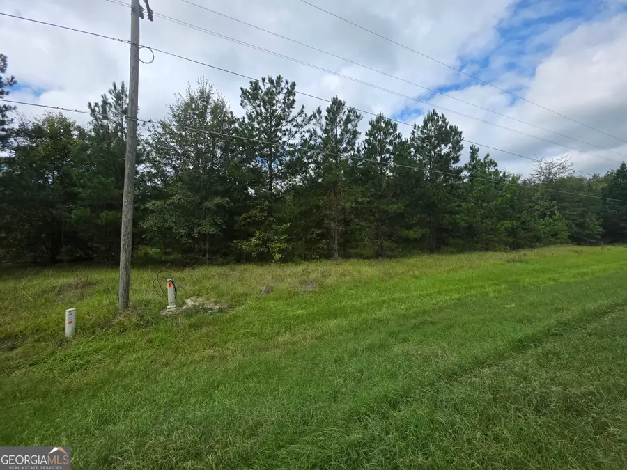 3102 Blackshear Highway, Baxley, GA 31513 - #2