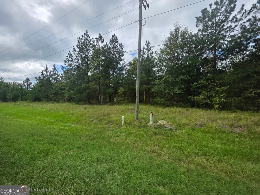 3102 Blackshear Highway, Baxley, GA 31513 - #3
