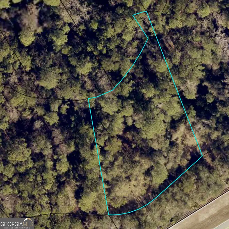 110 Canoe Run, Woodbine, GA 31569 - #2