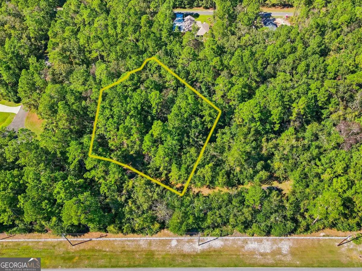 111 Canoe Run, Woodbine, GA 31569 - #1
