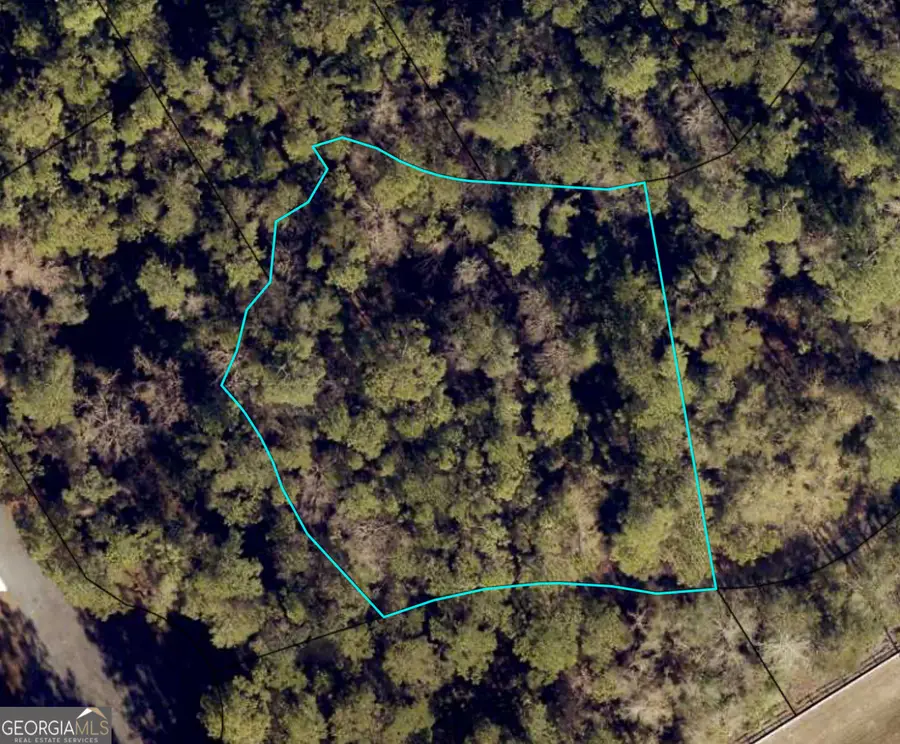 111 Canoe Run, Woodbine, GA 31569 - #2