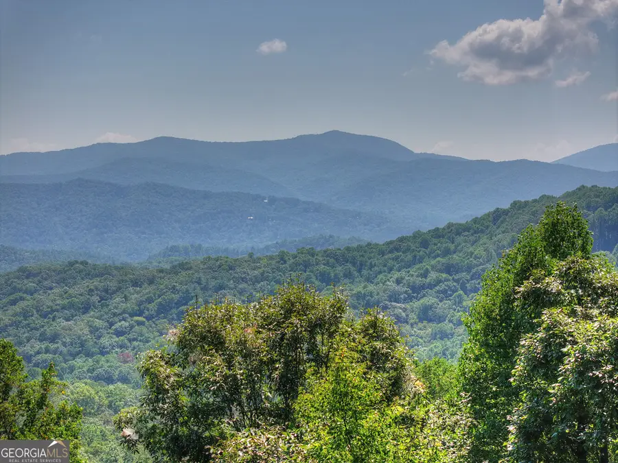 783 N Moreland Drive, Cherry Log, GA 30522 - #2