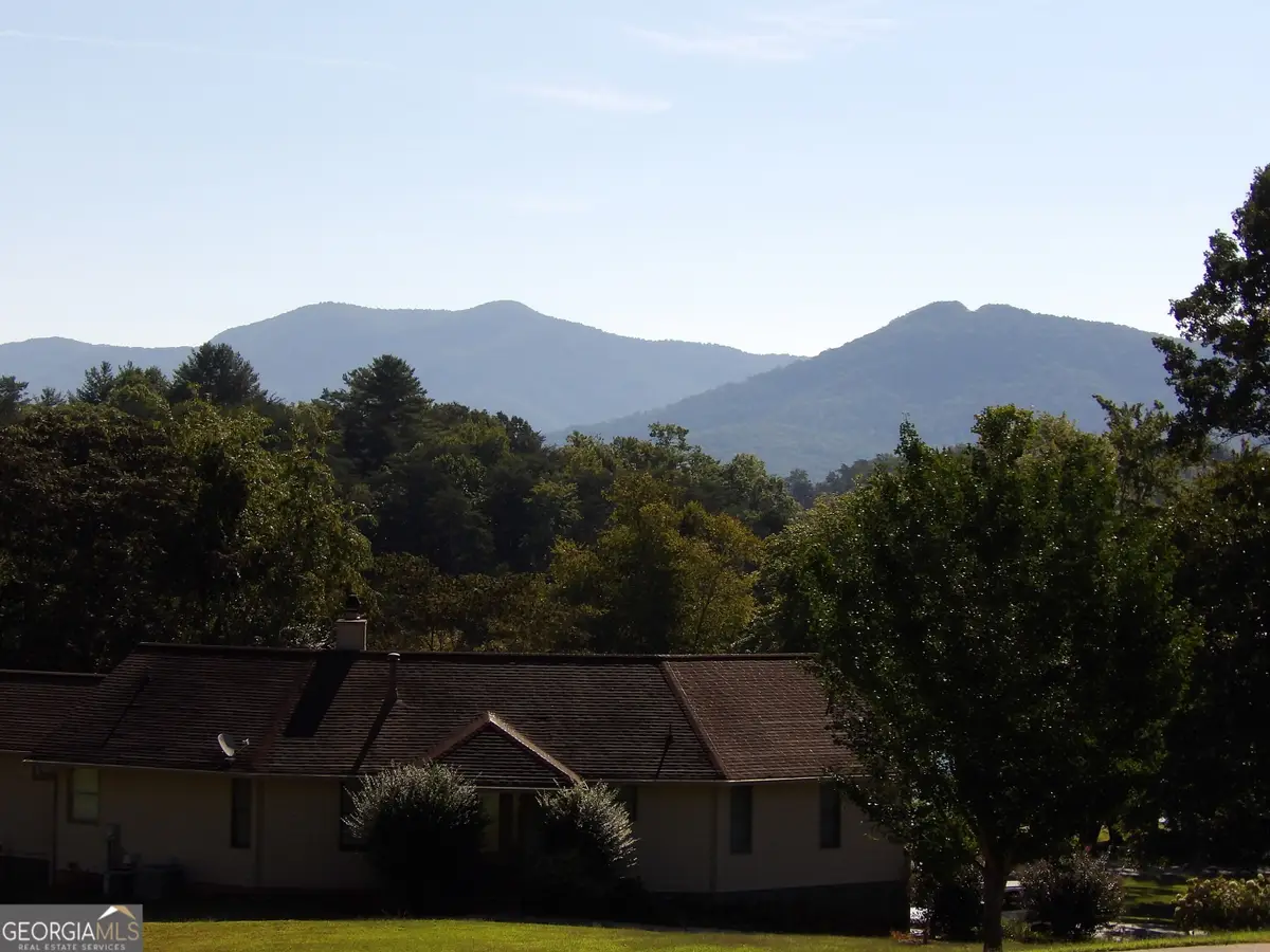 #3 Cedarview Court, Hiawassee, GA 30546 - #1