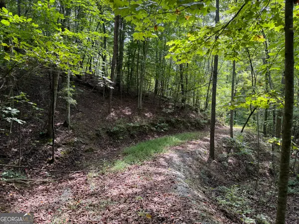 0 Fuller Mountain Road, Fairmount, GA 30139