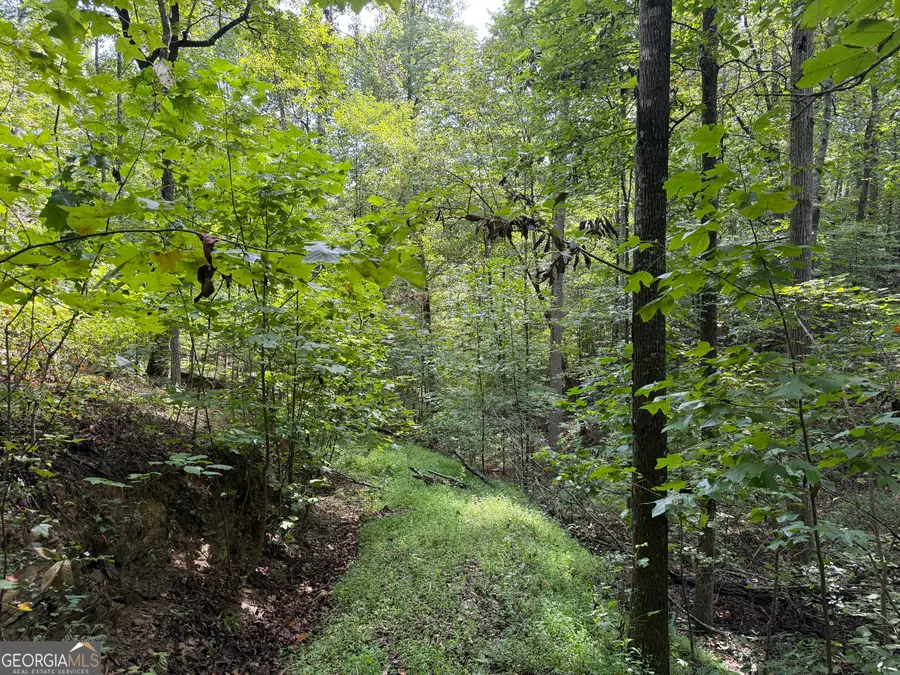 0 Fuller Mountain Road, Fairmount, GA 30139 - #2
