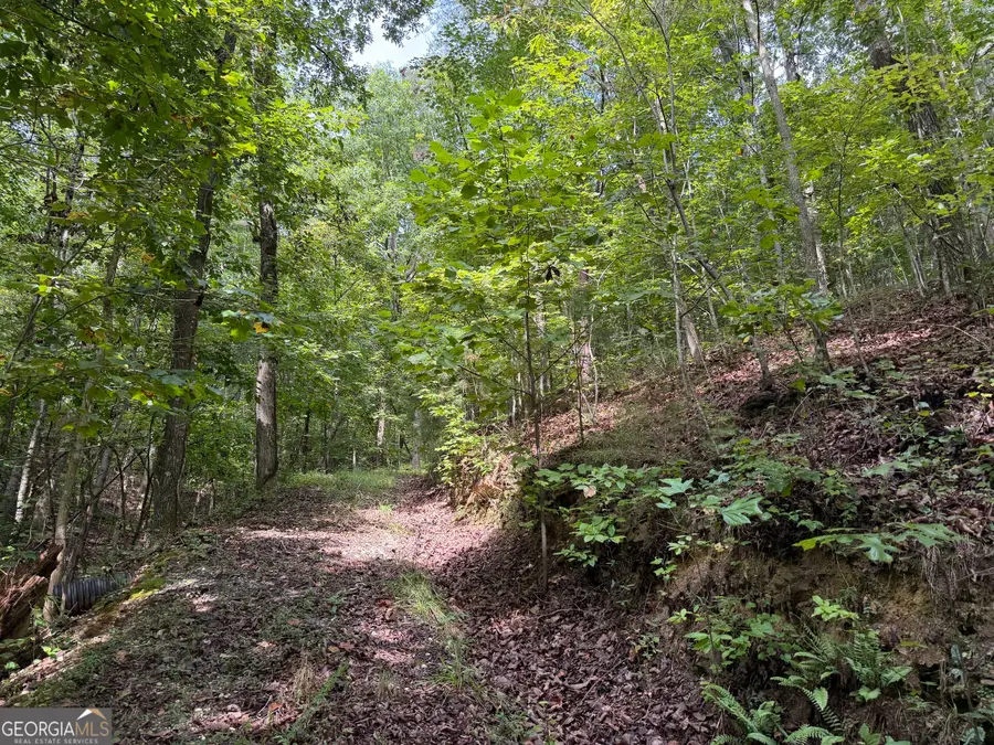 0 Fuller Mountain Road, Fairmount, GA 30139 - #3