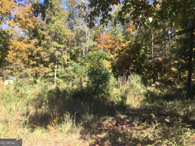 303 High Point Trail, Milledgeville, GA 31061 - #3