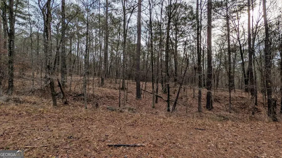 0 Highway 87, Macon, GA 31210 - #2
