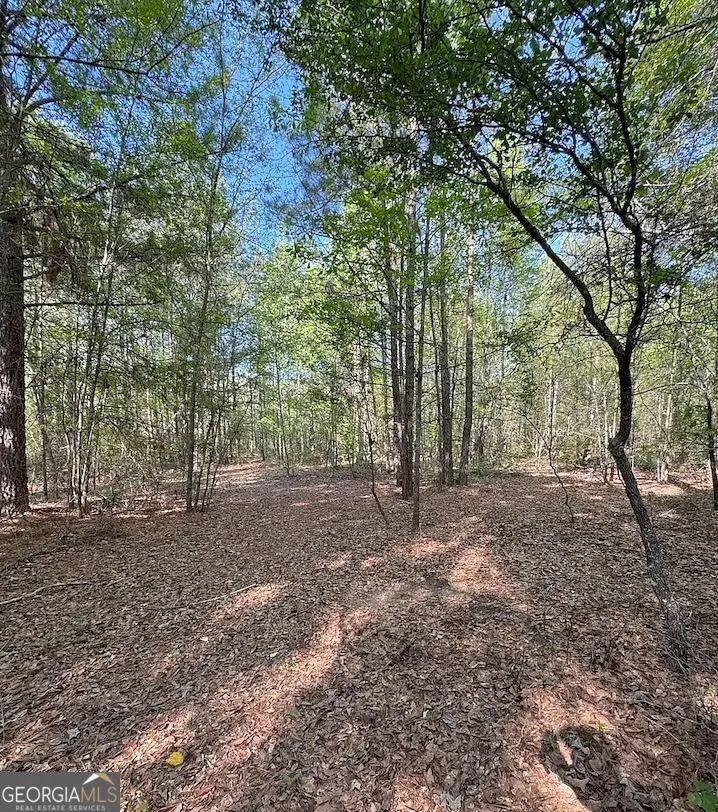 0 Middle Ground Road, Louisville, GA 30434 - #2