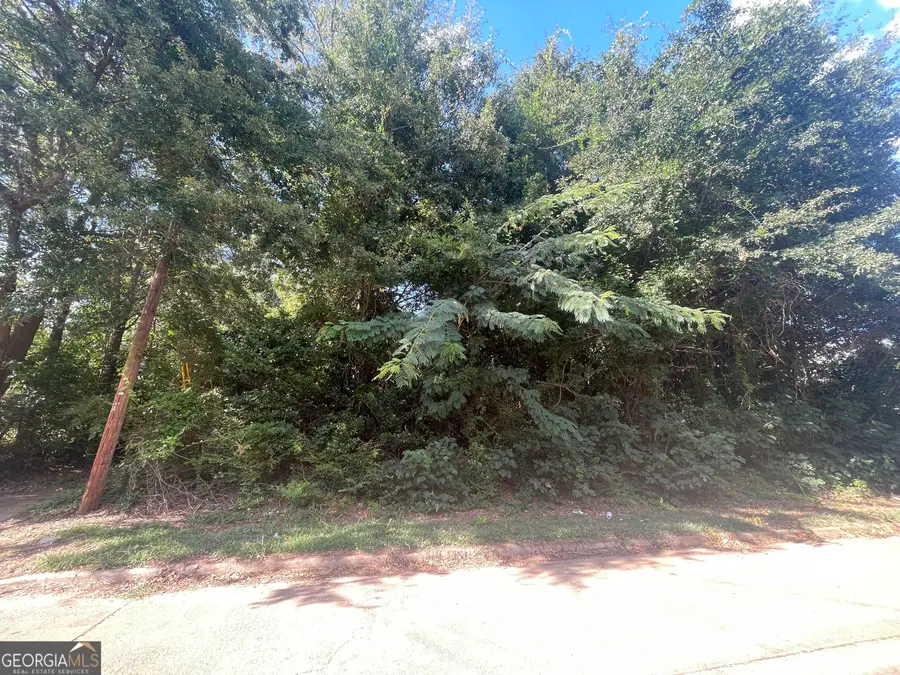 45 Pine Street, Griffin, GA 30223 - #3