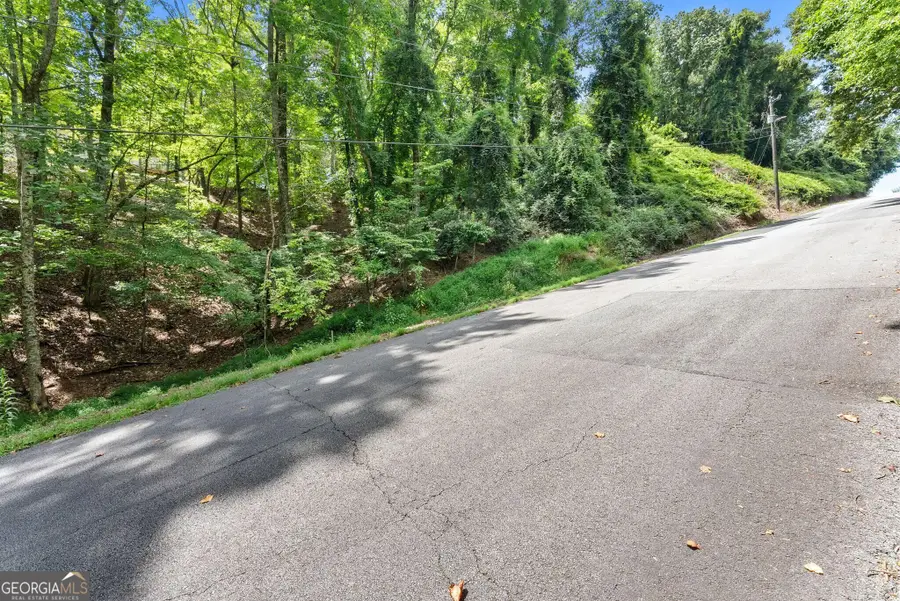6317 Falcon Lane, Gainesville, GA 30506 - #2
