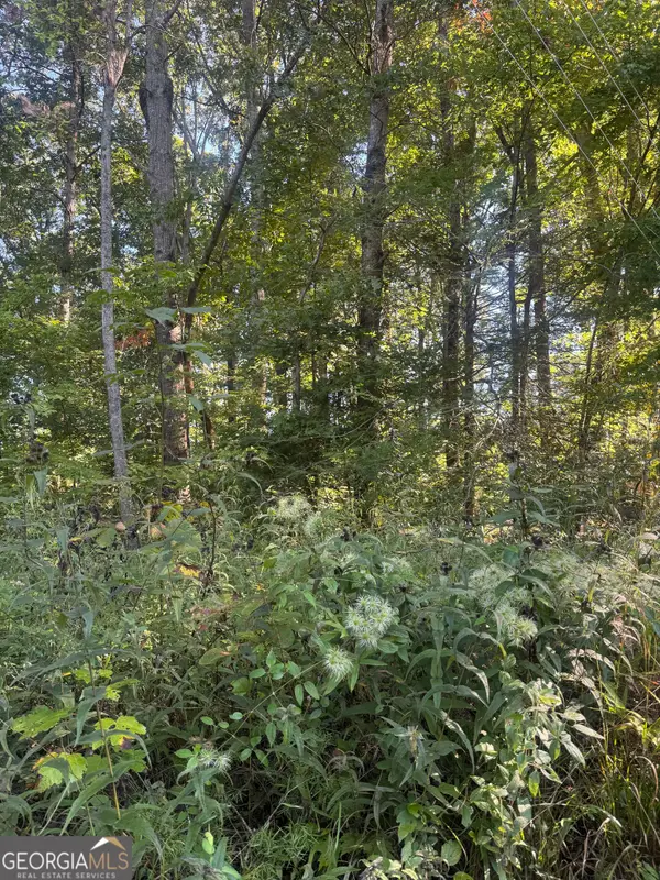 LOT 3 Roberts Ridge Road, Ellijay, GA 30540