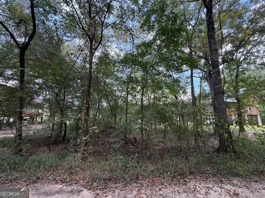 761 Addie's Alley S, Jesup, GA 31545 - #2