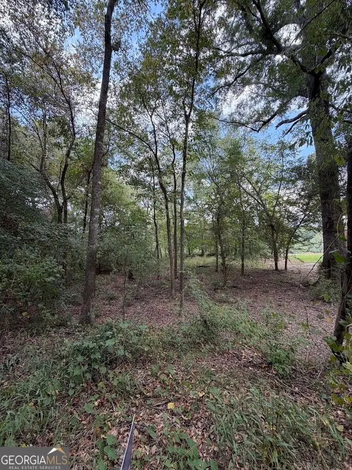 761 Addie's Alley S, Jesup, GA 31545 - #3