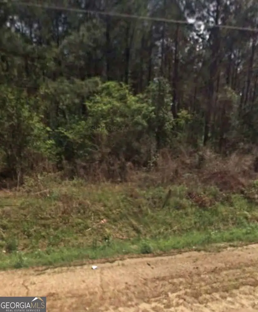0 Willie Varnum Road, Dothan, AL 36301 - #3