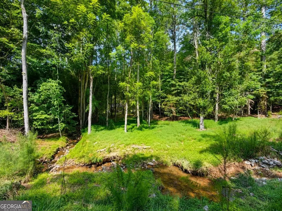 LT 880 Matrix Circle #880, Ellijay, GA 30540 - #1
