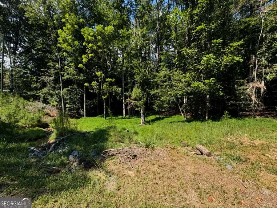 LT 880 Matrix Circle #880, Ellijay, GA 30540 - #3