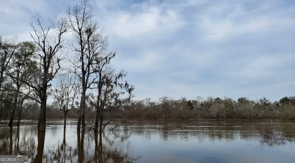 0 Deen Landing Road, Baxley, GA 31513 - #1