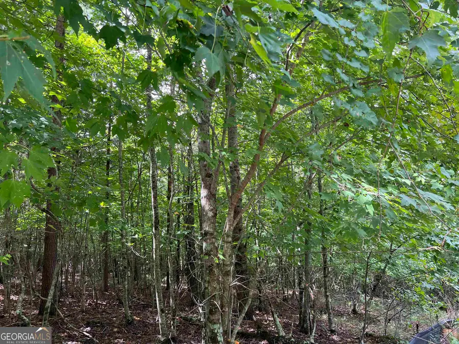 LOT 187 Northshore Drive, Cleveland, GA 30528 - #3
