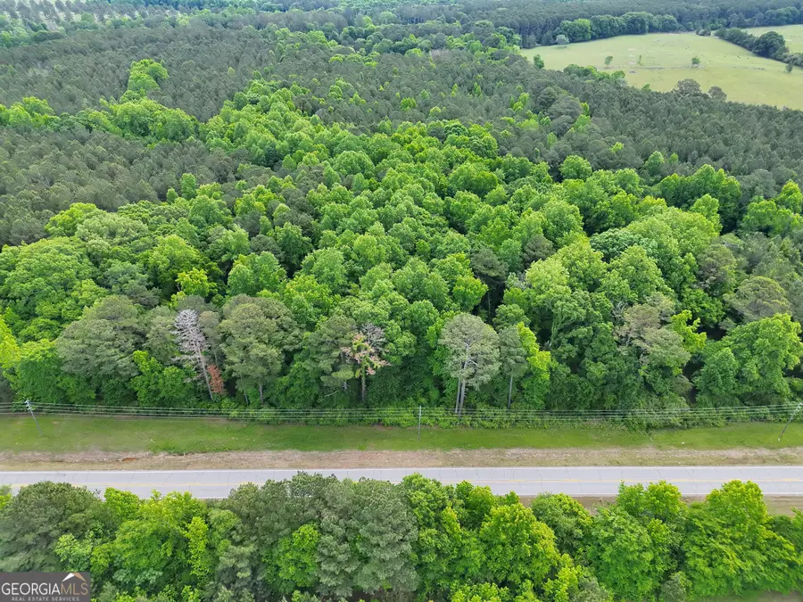 14+ ACRES Highway 85, Gay, GA 30218 - #3