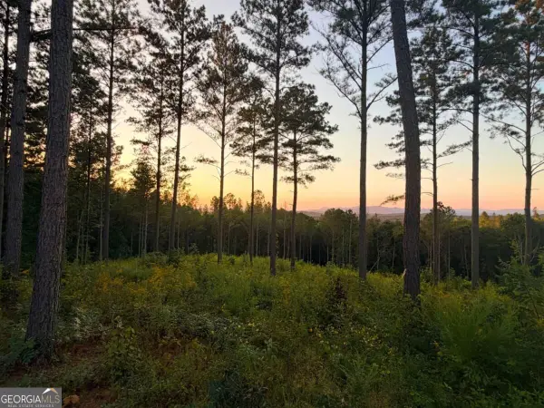 0 Lacey Springs Lane #64, Ellijay, GA 30540