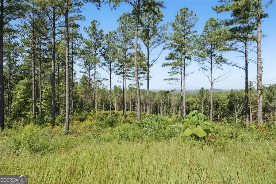 0 Lacey Springs Lane #64, Ellijay, GA 30540 - #3
