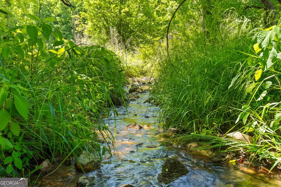LOT 11 Squirrel Hunting Road, Morganton, GA 30560 - #3