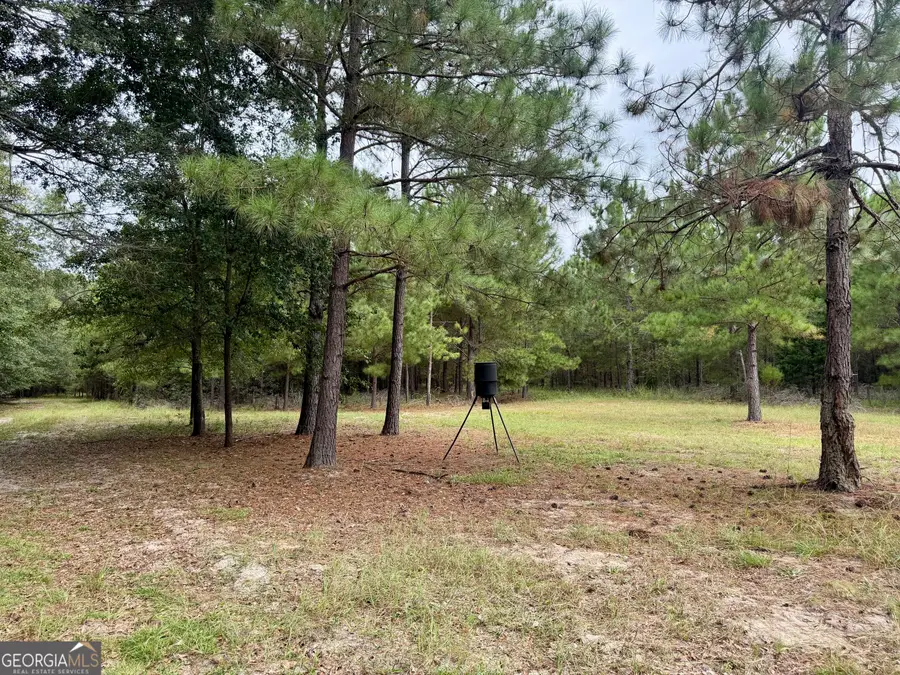 79 Stewart Road, Eastman, GA 31023 - #3