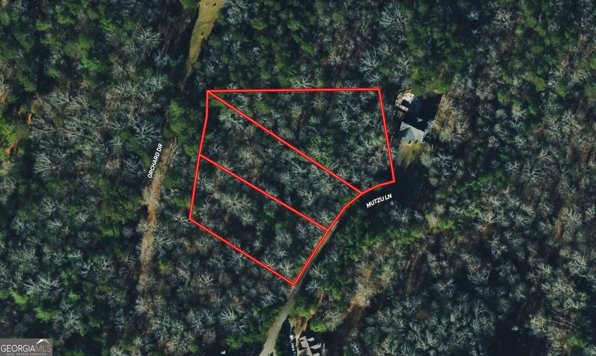 85 Mutzu Lane, East Ellijay, GA 30540 - #1