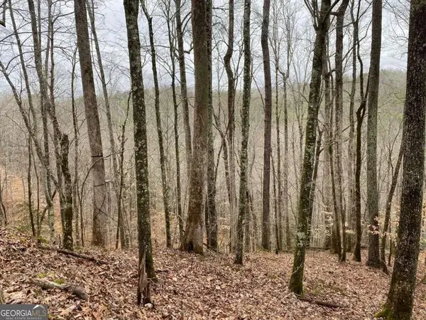 4AC Scenic Way #3833, Ellijay, GA 30540