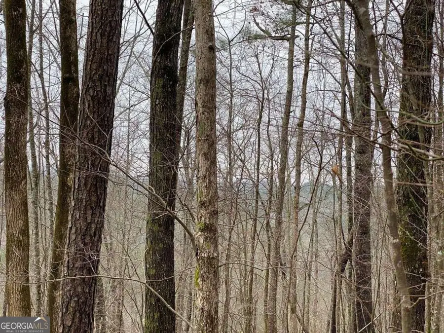 4AC Scenic Way #3833, Ellijay, GA 30540 - #3