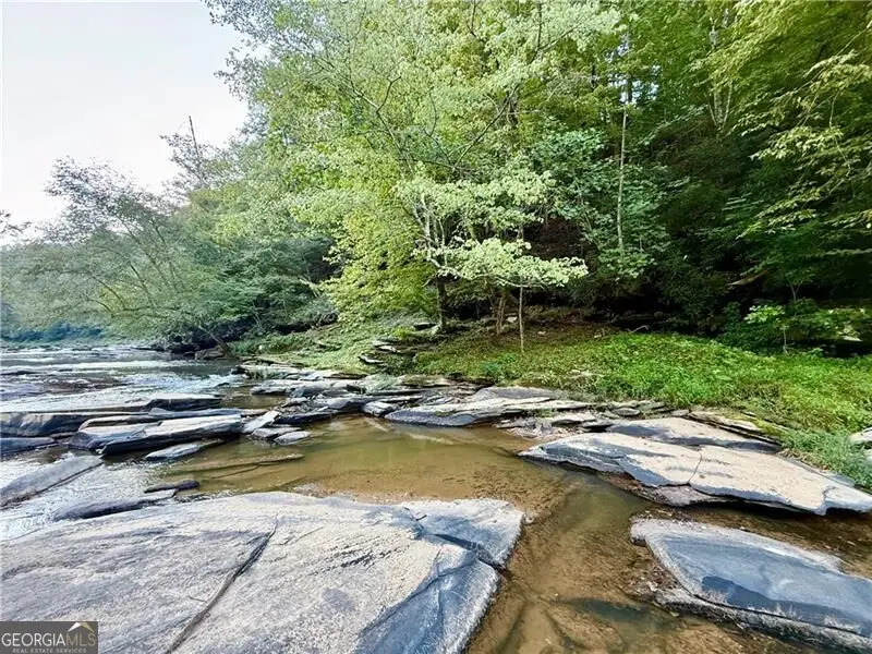 1275 Marie Drive, Ellijay, GA 30540 - #3